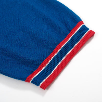 Men's blue striped contrasting knit polo shirt