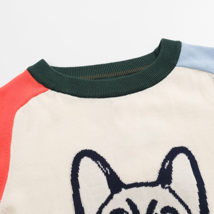 Women's multi-colored French bulldog knit sweater